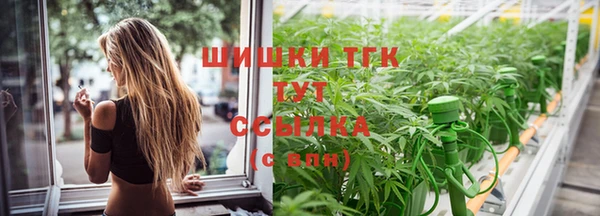 стаф Медвежьегорск