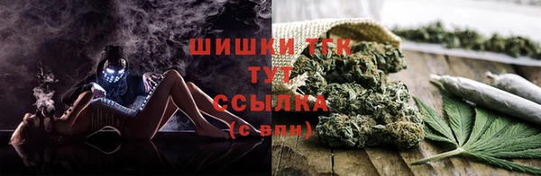 ECSTASY Покров
