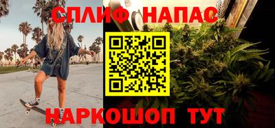 СК Краснодар