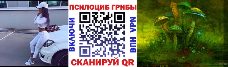 наркошоп  Пенза  Галлюциногенные грибы ЛСД 