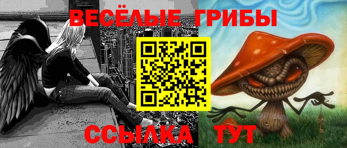Псилоцибиновые грибы мухоморы Пенза