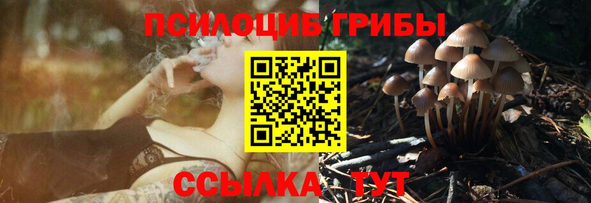 Галлюциногенные грибы Cubensis  Пенза  магазин продажи наркотиков  Псилоцибиновые грибы Magic Shrooms 